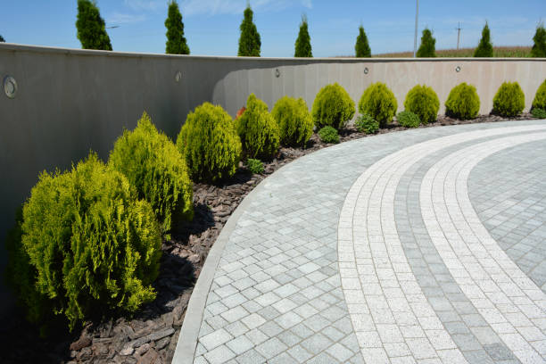 Best Driveway Pavers Near Me  in Latimer, MS